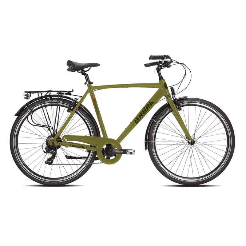 ridewill3998328