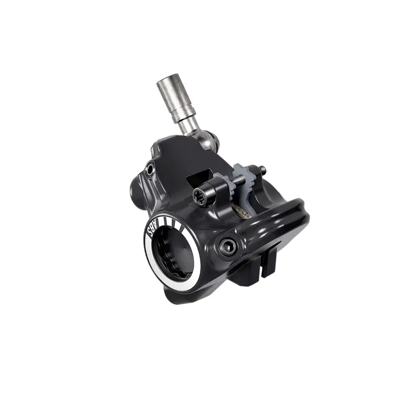 ridewill4019901
