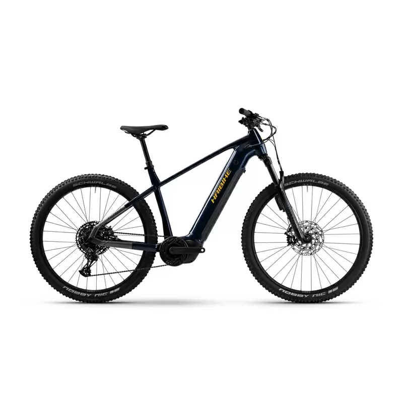 ridewill4029123