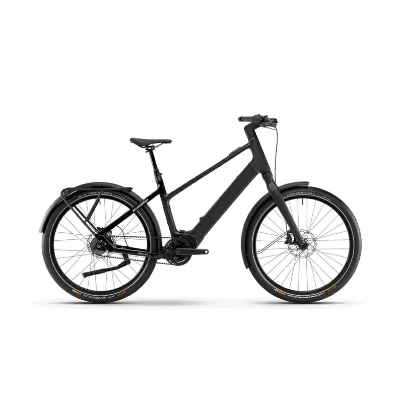 ridewill4029378