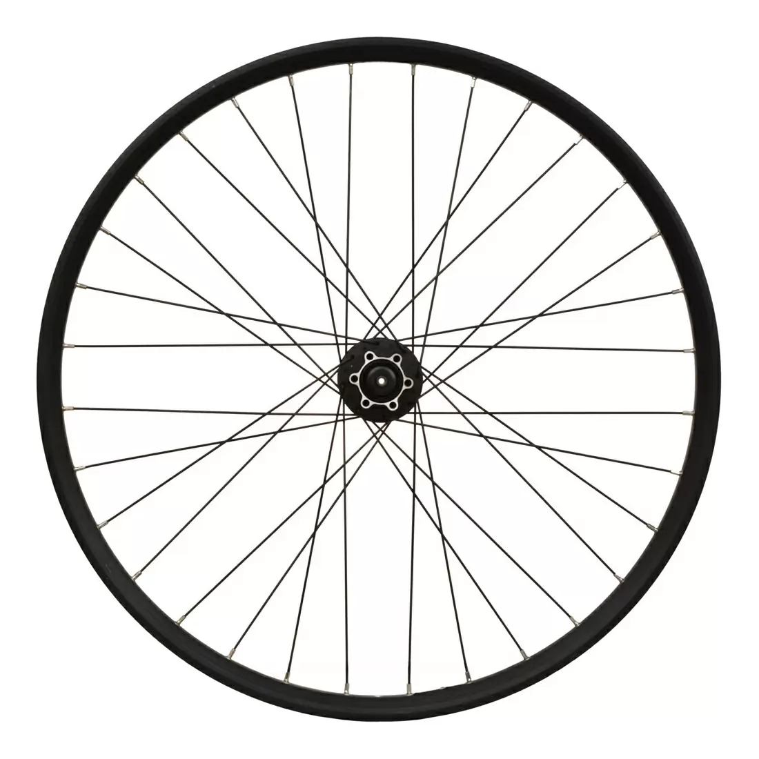 ridewill4032330