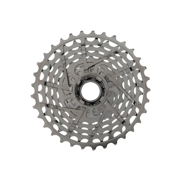 ridewill4084819