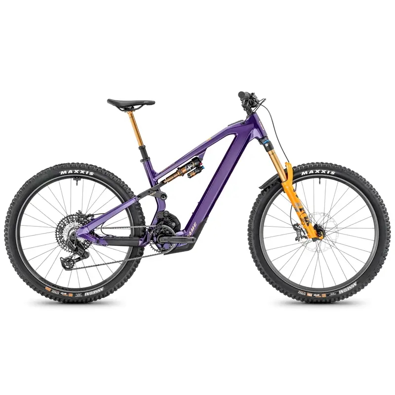 ridewill4089597
