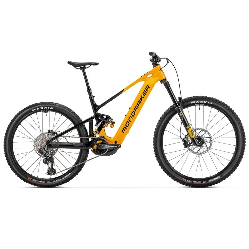 ridewill4102684