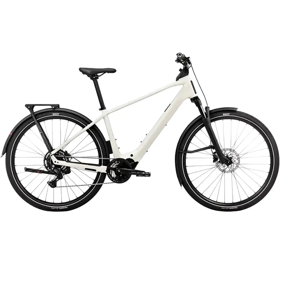 ridewill4128758