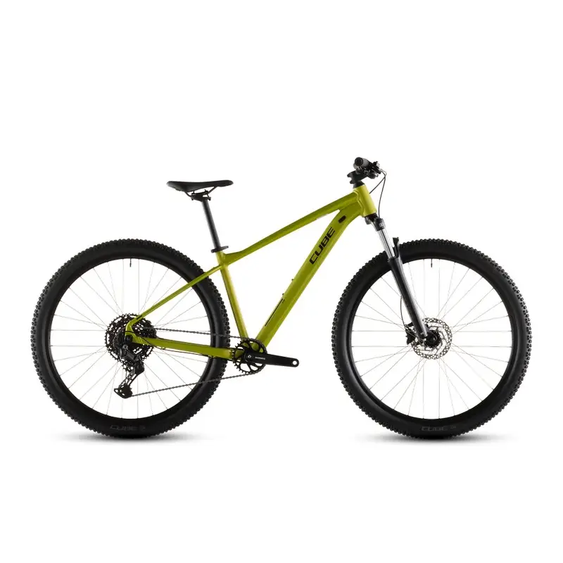 ridewill4158469